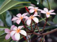 Test photo1